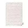 Sleeptex CELOLETNA PREŠITA ODEJA COMFORT 140/200 cm