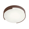 Redo 90006 - Spoljna plafonska LED svetiljka SKOR LED/16W/230V IP54 braon