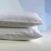 Jastučnica 100% pamučni saten 60x80cm - Clas A15 ( VLK000191-clas15 )