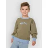 Rip Curl Ride The Wave Crew Kids Sweater surplus green