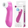 LyBaile 2-v-1 vibratorski stimulator zraka z vibracijami roza romantika osupljivo