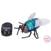 Velikanska RC muha na daljinsko upravljanje 11x9 cm - češka embalaža