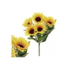 eoshop sončnica Puget. SG6076
