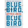 Bluebird, Bluebird