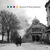 Section 25 - Part-Primitiv (Limited Edition) (180 g) (LP)
