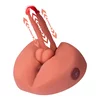 MOŠKI TORZO Mistress Honey Thrusting Dildo