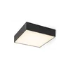 RED - Design Rendl - R13488 - LED plafonsko svetlo LARISA LED/20W/230V crna