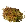 HabiStat Sphagnum Moss 1kg