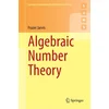 Algebraic Number Theory