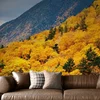 Fototapeta pogled na veličasten gozd - 196x270