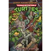 Teenage Mutant Ninja Turtles: Saturday Morning Adventures, Vol. 6
