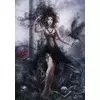 Grafika Puzzle Shadow 1000 kosov