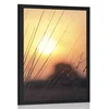 Plakat sončni vzhod nad travnikom - 30x45 no frame