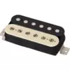 Schecter Sunset Strip BR ZEBRA (TRAD) 6111