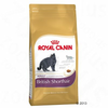 ROYAL CANIN British Shorthair Adult - Varčno pakiranje: 2 x 10 kg