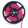 Forever LED trak SMD3528 8mm 60LED 4,8W/m - roza