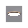LED plafonsko svetlo za kupatilo NIVERA LED/32W/230V IP54 fi 42 cm crno