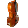 Violončelo Accento 4/4 Sielam