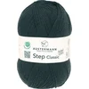 Austermann Step 4 Classic 1013 Pletilna preja