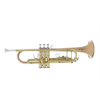 JP251 SW BB trobenta / LAKIRANA