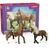 Schleich Horse Club Paso Peruano Starter Set 42738