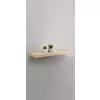Zidna polica ABILD 80x24 hrast