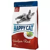 Happy cat adult govedina