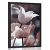 Plakat spomladanski tulipani v parku - 30x45 black