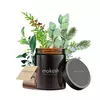 MOKOSH Aromatična sveća - Jelova šuma 140 g