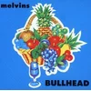 Melvins - Bullhead