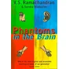 Phantoms in the Brain