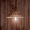 PR Home zunanja viseča svetilka Lisen, rjava, vtič, O 27 cm - Dnevna soba/jedilnica - rjava, črna - Plastika