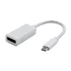 Pretvornik USB/video, DP Alt Mode, USB C moški - DisplayPort ženski, bel, 4K2K@30Hz 65507, RAZPRODAJ