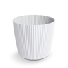 Prosperplast Saksija Milly round I300, Bela