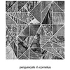 Penguin Cafe & Cornelius - Umbrella EP (Reissue) (EP)