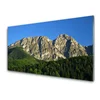 tulup.si Slika na akrilnem steklu Mount forest narava 100x50 cm 2 obešalnika