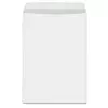 Koverta Pigna 25x35,3 /B4/ 1/500