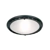 Elstead PB-F-B-BLACK - Plafonska lampa PEMBROKE 1xE27/60W/230V crna