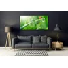 tulup.si Slika na akrilnem steklu Grass pikapolonica narava 140x70 cm 4 obešalnika