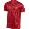 Dres Nike M NK DF PRCSN VII JSY SS
