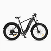 DYU Gorsko električno kolo DYU King 750 Fat Tire, 750 W 48 V 18 Ah, črno, (21960277)