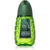 Pino Silvestre Pino Silvestre Original vodica po britju 125 ml