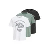 Jack & Jones Majica Bluzane 12305052 Pisana Regular Fit