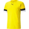 Puma Dres teamRISE