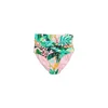 Next Bikini hlačke zelena/svetlo zelena/korala/roza