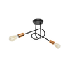 Plafonski luster OXFORD 2xE27/15W/230V crna