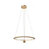 LED luster na sajli LED/45W/230V 3000K prečnik 62 cm zlatna