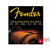 FENDER STRUNE 50L