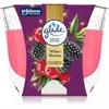 GLADE Winter Berries dišeča sveča 204 g