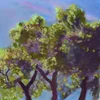 Eli Winter - The Time to Come (LP)